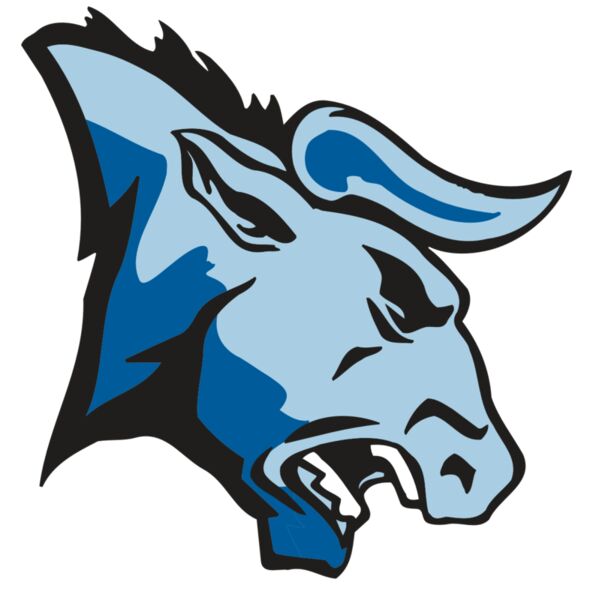 AR BULL 20 RC Thumbnail